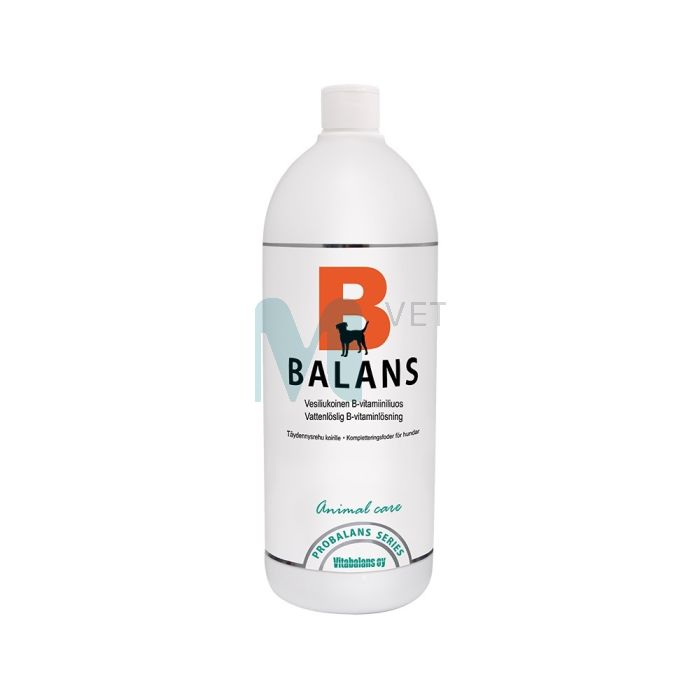 VITABALANS PROBALANS B-BALANS 100ML